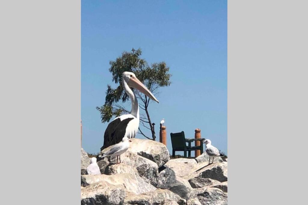 That Seaside Cottage - Fully Equipped Home, 4 Bedrooms On The Foreshore Tooradin 外观 照片