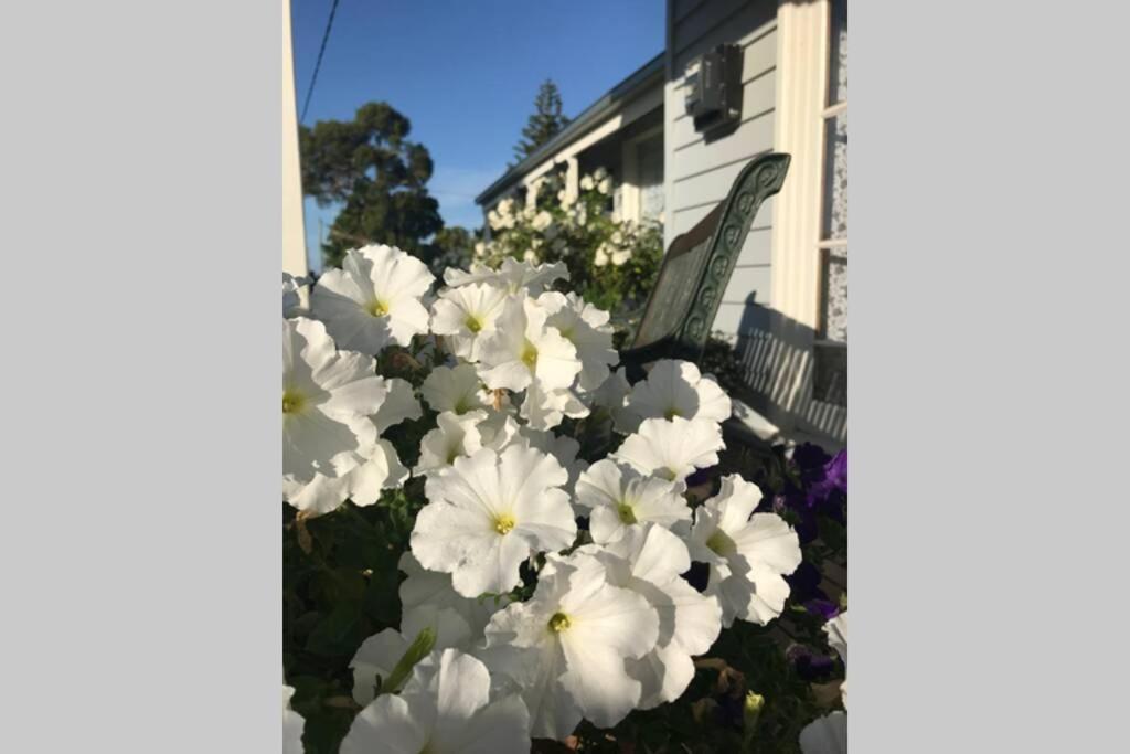 That Seaside Cottage - Fully Equipped Home, 4 Bedrooms On The Foreshore Tooradin 外观 照片
